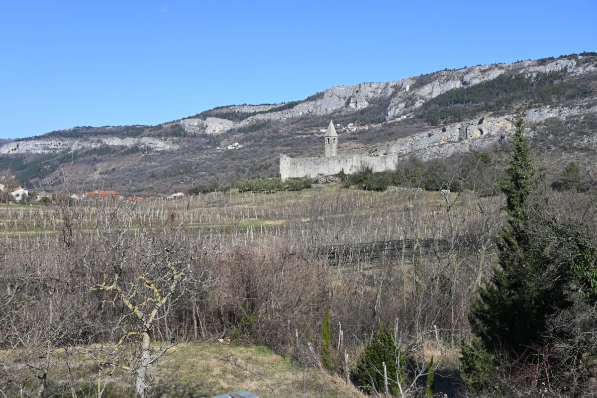 Javni poziv za čiščenje zarasti na območju Nature 2000 Kras