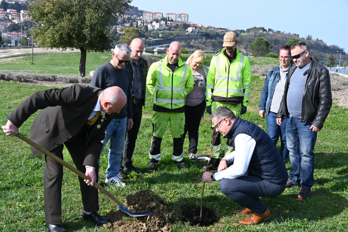 Ob dnevu medovitih rastlin župan zasadil lipo