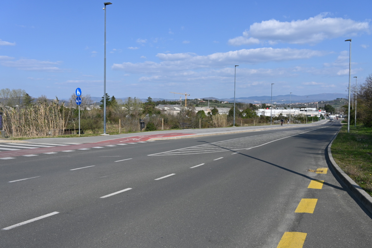 Ob pešpoti na Dolinski cesti zasajenih 20 lip