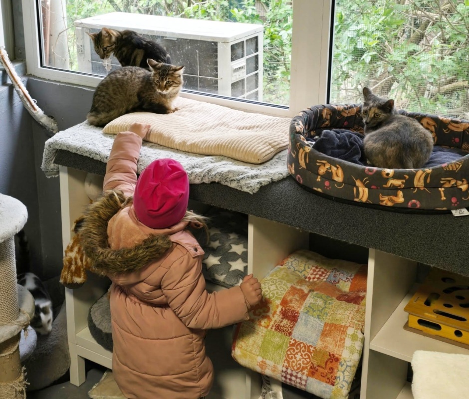 Velika spomladanska dobrodelna akcija za Obalno zavetišče za zapuščene živali